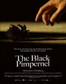 The Black Pimpernel poster