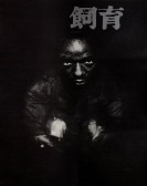 The Catch poster