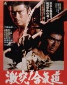 The Decisive Power of Aikido poster