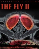 The Fish & The Fly 2: Nymphs poster
