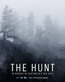 The Hunt: In Search of Australia's Big Cats poster