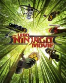 The LEGO Ninjago Movie (2017) Free Download