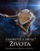 The Meaning and Mystery of Life poster