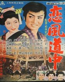Travel Romances poster