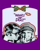 Whats Up Doc poster