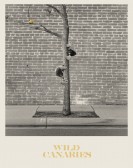 Wild Canaries poster