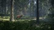 TheHunter Call of the Wild screenshot 2